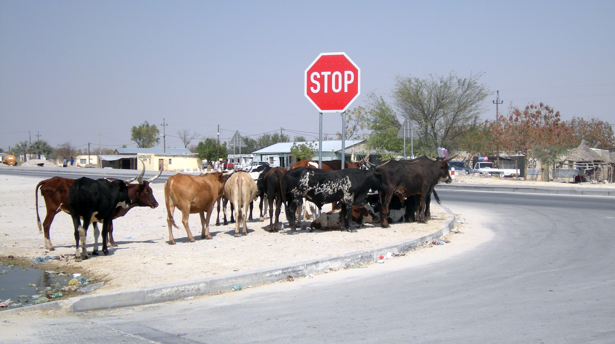 Oshakati